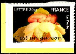 France Poste AA N** Yv:  55 Mi:3958I C'est Un Garçon Anne Geddes Coin D.feuille - Ungebraucht