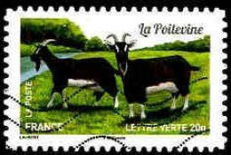 France Poste AA Obl Yv:1097 Mi:6078 La Poitevine Chèvre (Lign.Ondulées) - Gebraucht