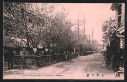 AK Tokyo, Cherry Blossoms In Yoshiwara  - Tokio