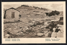 AK Jericho, Der Eliasbrunnen  - Palestine