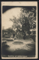 AK Gehtsemani, Garden  - Palestine