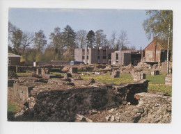 Bavai 59 Nord - Site Archéologique Foulles Et Musée Au Fond (Gallo-romain) Cp Vierge N°3770 Europe - Bavay