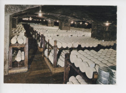 Fabrication Du Fromage - Roquefort Sur Soulzon Cave De "Roquefort Société" (cp Vierge N°141/99 Castelet) - Craft