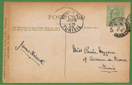 Ad0794 - GB - Postal History -  Postcard From CASTLETON To TUNISIA  1909 - Lettres & Documents