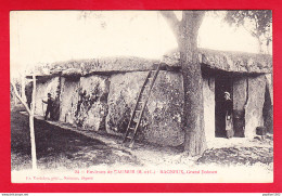 F-49-Bagneux-01P120  Le Grand Dolmen, échelle, Animation, Cpa BE - Autres & Non Classés