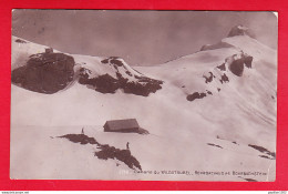 E-Suisse-688P118 Cabane Du WILDSTRUBEL, Rohrbachaus Et Rohrbachstein, Cpa - Autres & Non Classés