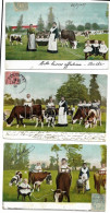 3 Cpa Bébés Multiples Dans Le Pré à Vaches Nourricières Avec Les Nourrices, Série 351, Envois 1905 - Babies