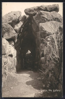 AK Tiryns, The Gallery  - Grèce