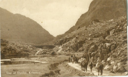 Killarney; Gap Of Dunloe - Circulated. (Irish Tourist Assocation) - Kerry