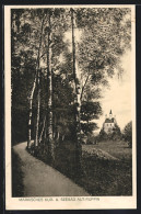 AK Alt-Ruppin, Waldweg Mit Blick Auf Die Kirche  - Autres & Non Classés