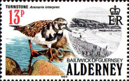 Aldeney-Aurigny Poste N** Yv: 14 Mi:14 Turnstone Arenaria Interpres - Alderney