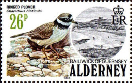 Aldeney-Aurigny Poste N** Yv: 15 Mi:15 Ringed Plover Charadrius Hiaticula - Alderney