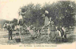 13 - Bouches Du Rhone - En Provence - La Cueillette Des Olives - L'Olivado - Animée - CPA - Voir Scans Recto-Verso - Autres & Non Classés