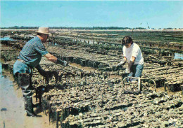 Metiers - Ostréiculteur - Parcs à Huitres - CPM - Voir Scans Recto-Verso - Pêche