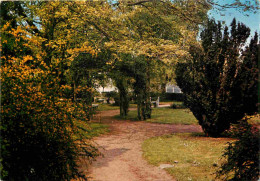 62 - Auchel - Le Jardin Public Boulevard Basly - CPM - Voir Scans Recto-Verso - Other & Unclassified