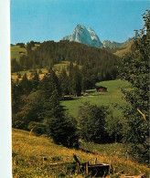 Suisse - BE Berne - Kalberhoni Bei Gstaad - CPM - Carte Neuve - Voir Scans Recto-Verso - Sonstige & Ohne Zuordnung