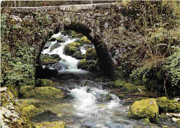 39 - Jura - Montagnes Du Jura - Le Vieux Pont Et L'eau Vive - CPM - Voir Scans Recto-Verso - Autres & Non Classés