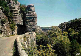 07 - Ruoms - Les Gorges De L'Ardèche - Le Défilé De Ruoms - Entrée Du Défilé De Ruoms - CPM - Voir Scans Recto-Verso - Ruoms