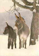 Animaux - Anes - Anon - Donkeys - Burros - Esel - Asini - CPM - Voir Scans Recto-Verso - Donkeys