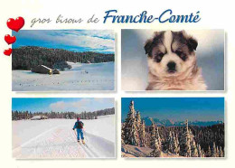 Animaux - Chiens - Husky - Chiots - Franche Comté - Multivues - Skieurs - Carte Neuve - CPM - Voir Scans Recto-Verso - Dogs