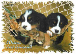 Animaux - Chiens - CPM - Voir Scans Recto-Verso - Dogs