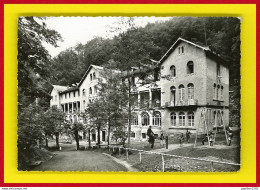 F-64-Eaux-Bonnes-03CC  Le Relais D'Ossau, Mutuelle Générale Des P.T.T., Animation, Type Photo, BE - Autres & Non Classés