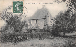 CHAMPSECRET - Le Vieux Château - Other & Unclassified