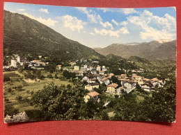 Cartolina - Meana - Frazione Campo Del Carro - 1961 - Sonstige & Ohne Zuordnung