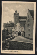 AK Colditz I. Sa., Blick Auf Den Schloss-Eingang  - Colditz
