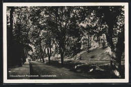 AK Freudenstadt, Partie In Der Lauterbadstrasse  - Freudenstadt