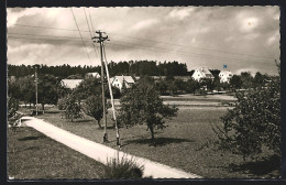 AK Maisenbach-Zainen, Ortspanorama Mit Strasse Und Wiese  - Sonstige & Ohne Zuordnung