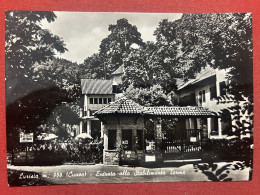 Cartolina - Lurisia ( Cuneo ) - Entrata Allo Stabilimento Terme - 1958 - Cuneo