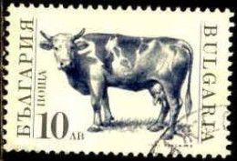 Bulgarie Poste Obl Yv:3362 Mi:3885 Vache (Beau Cachet Rond) - Used Stamps