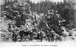 Foscagno Passo (Sondrio) - Lungo La Mulattiera Che Mena A Foscagno - Sondrio