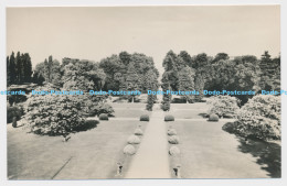 C008761 Melbourne Hall. Derbyshire. Gardens From House. English Life Publication - World
