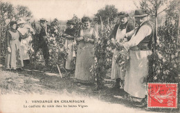 Agriculture Vigne La Cueillette Du Raisin Dans Les Hautes Vignes CPA Vendange En Champagne Vendanges - Vignes