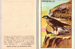 Chromos & Images - Les Oiseaux Et Leurs Nids - Crécerelle - Other & Unclassified