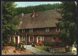 AK Zinse /Erndtebrück, Pension Forsthaus E. Born  - Jagd