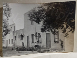 Italia Foto Da Identificare Azienda "Due Isole". 1956. 180x130 Mm. - Europa