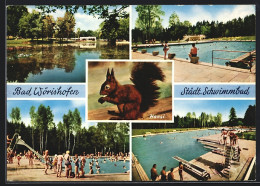 AK Bad Wörishofen, Städtisches Schwimmbad Am Sonnenbüchl, Eichhörnchen Hansi  - Bad Woerishofen