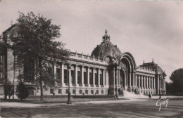 85941 - Frankreich - Paris - Le Petit Palais - Ca. 1960 - Altri & Non Classificati