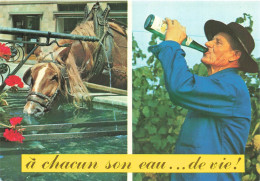 FRANCE - L'Alsace Pittoresque - Photo Kuglier - à Chacun Son Eau... De Vie ! - Cheval - Homme - Carte Postale Ancienne - Alsace