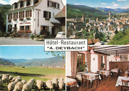 FRANCE - Hôtel Restaurant A Deybach - Munster - Multi-vues De Différents Endroits - Carte Postale Ancienne - Munster