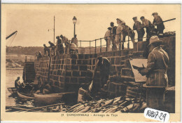 CONCARNEAU- ARRIVAGE DU THON - Concarneau