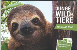 Boekje Junge Wildtierel 6 Speciale Carten En Zegels 2024 - Unused Stamps