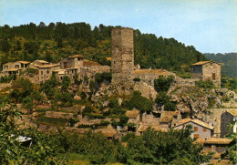 Cpm Les Arcs-Parage, Vue Générale - Les Arcs