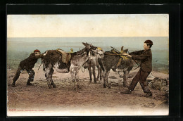 AK Knaben Am Strand Mit Störrischen Reiteseln  - Donkeys