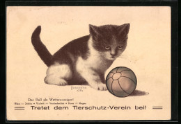 AK Kätzchen Mit Ball, Wetteranzeiger, Tierschutz-Verein  - Autres & Non Classés