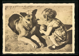 Foto-AK Kleines Mädchen Mit Ball Und Schäferhund In Der Sonne  - Chiens