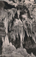 72756 - Teufelshöhle (Fränk. Schweiz) - Barbarossabart - Ca. 1960 - Pottenstein
